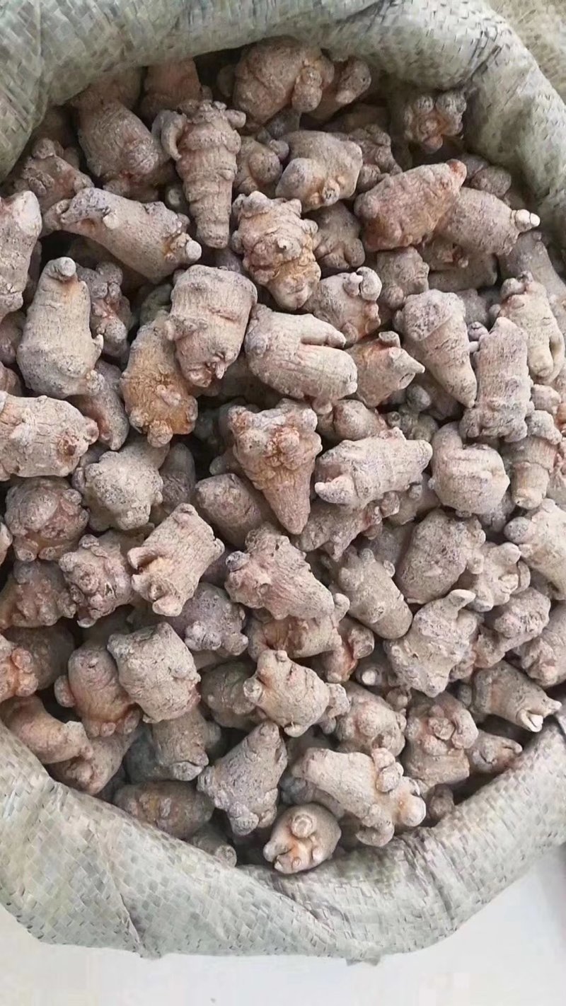 中药材