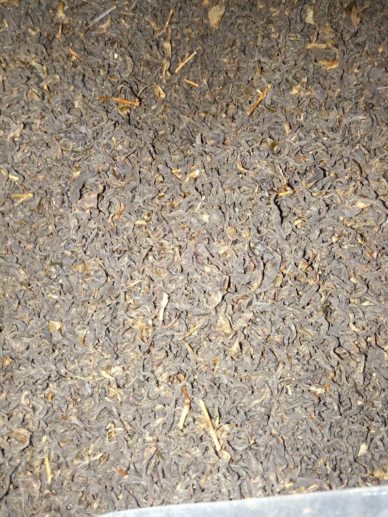 尤溪红小种茶批发
