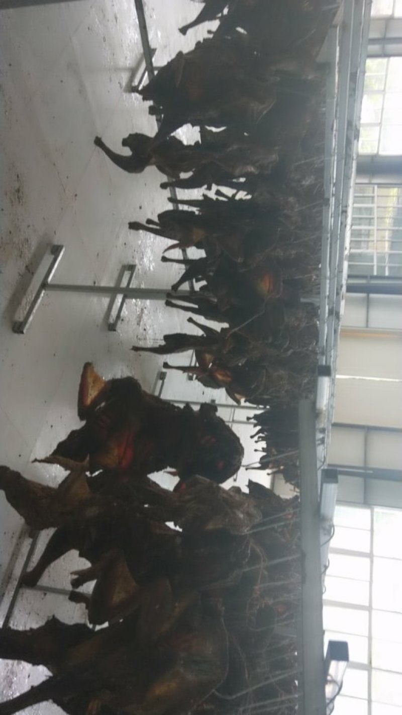 四川腊鸡，自然干，味道好，
