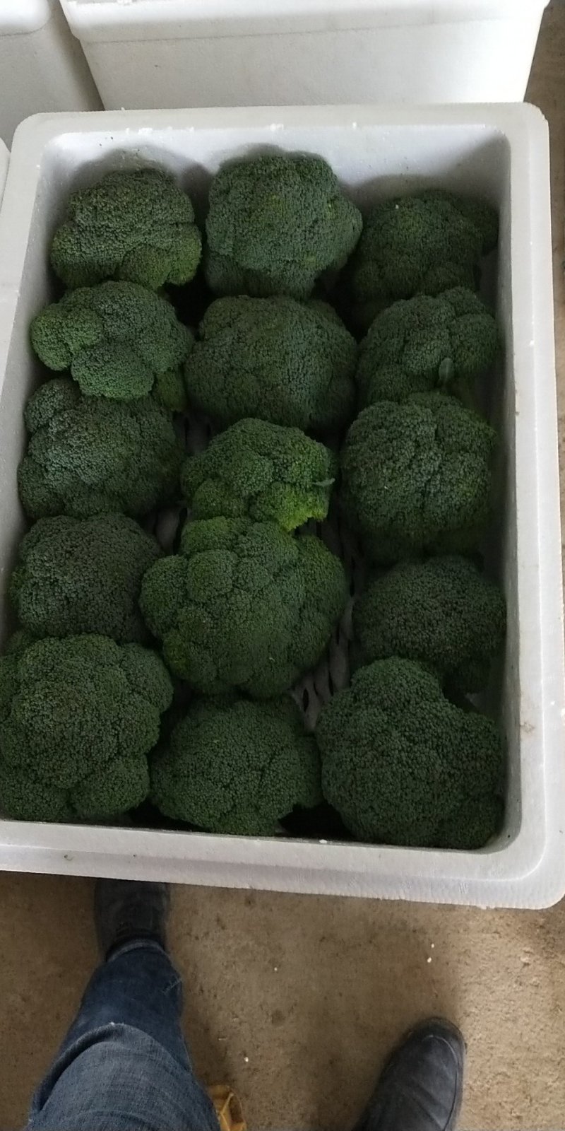 西兰花