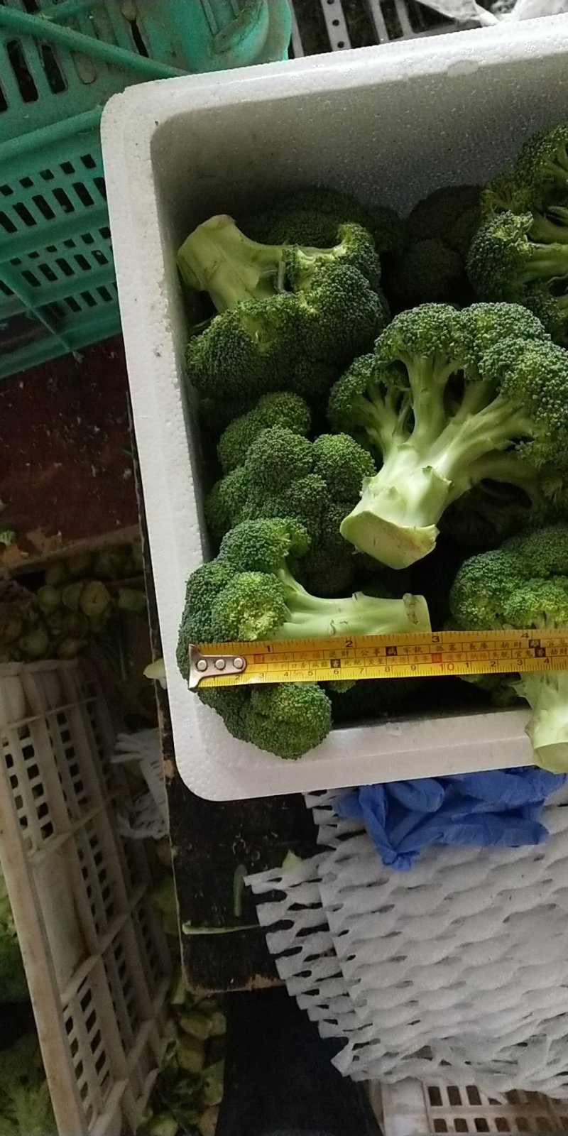 西兰花