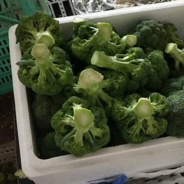 西兰花