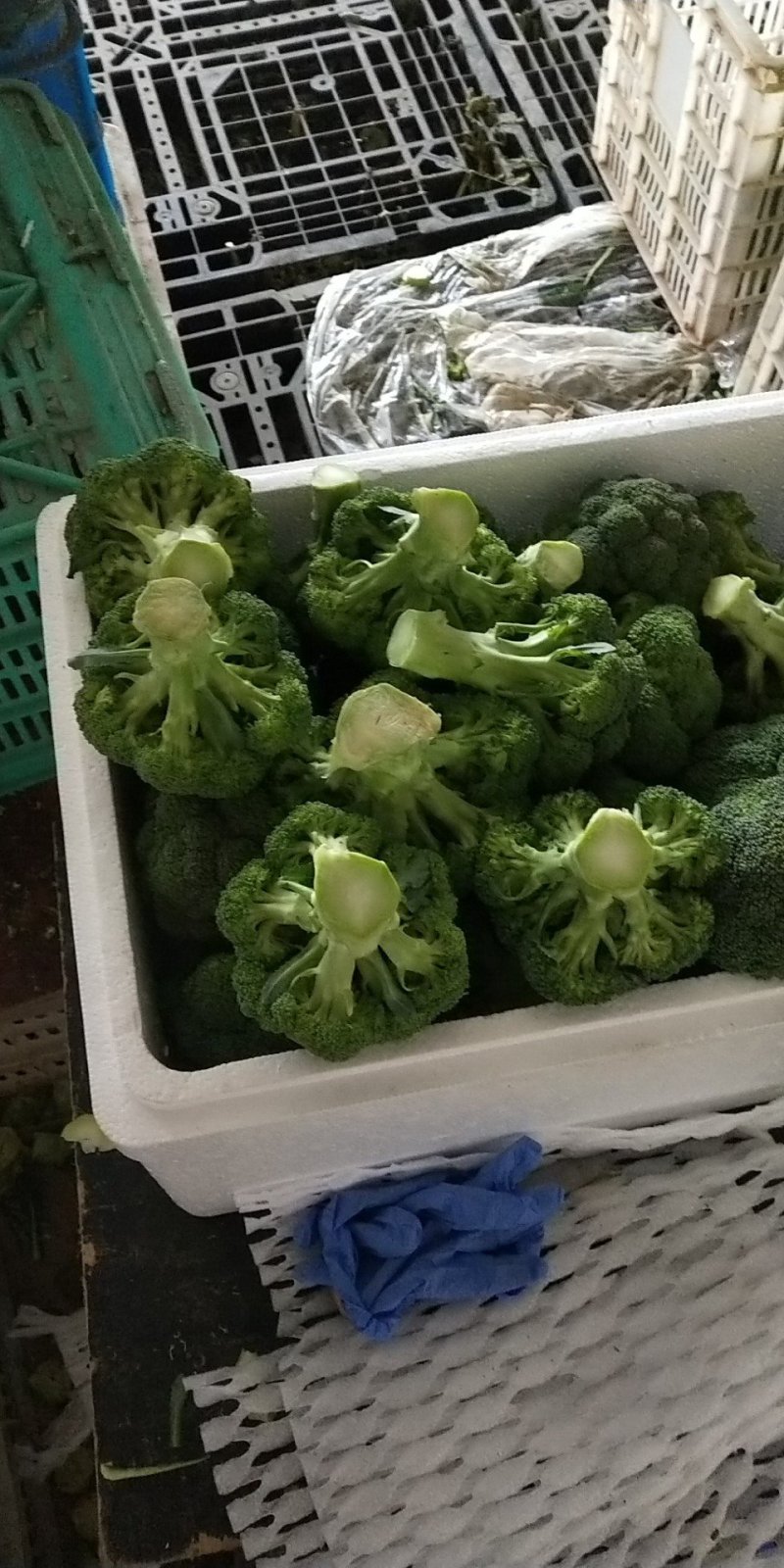 西兰花