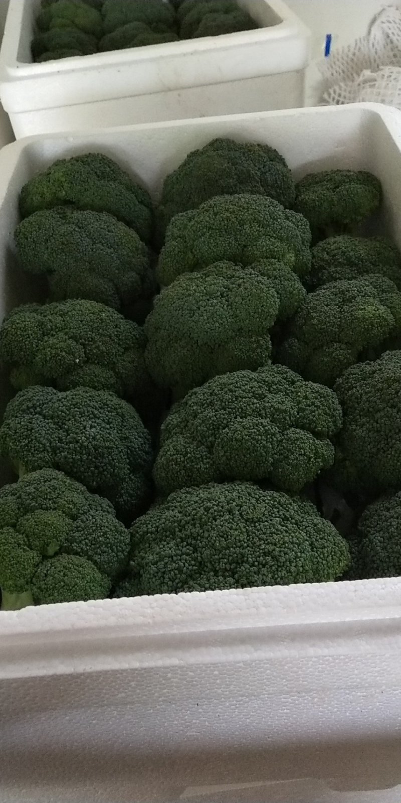 西兰花