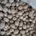 肉豆蔻肉蔻货好量大不满意保退换欢迎下单