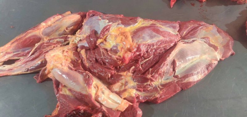 大量出售马肉精修四分体现货