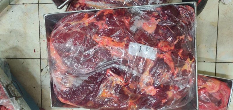 大量出售马肉精修四分体现货