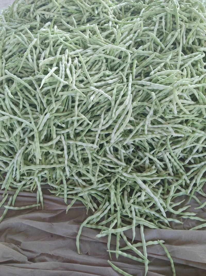 九粒白芸豆