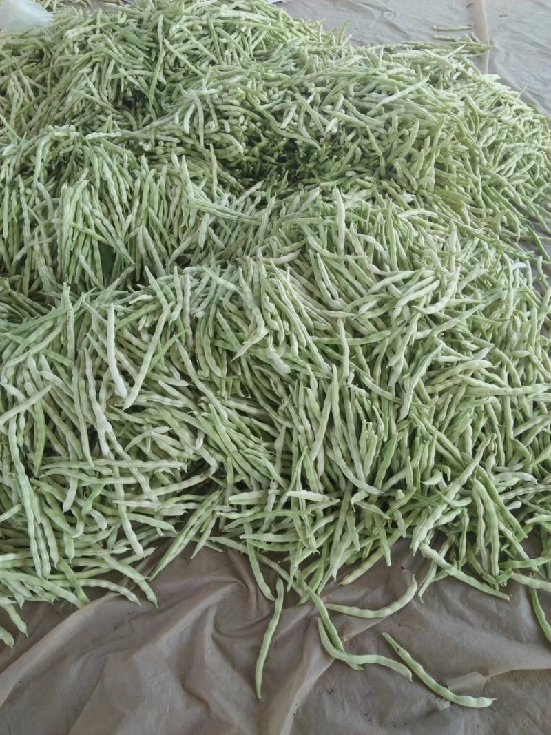 九粒白芸豆