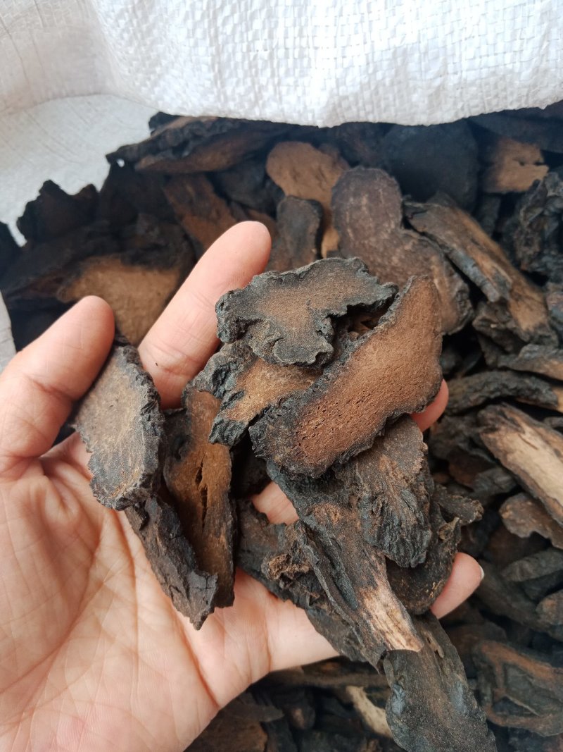 肉苁蓉肉苁蓉手选大片泡酒料搭锁阳批发零售各种规格中药材