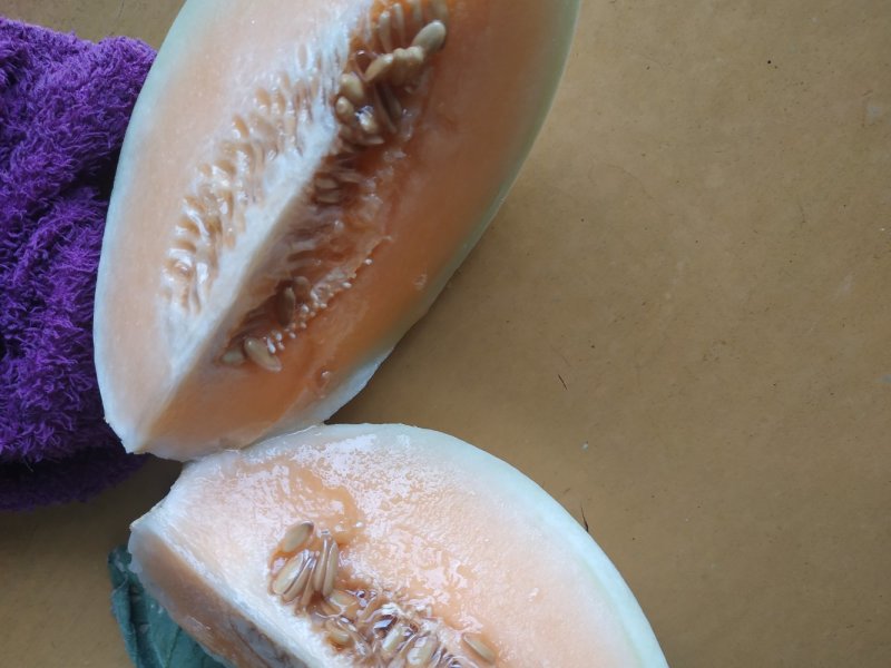 彐里红白皮甜瓜金红寸葸皮