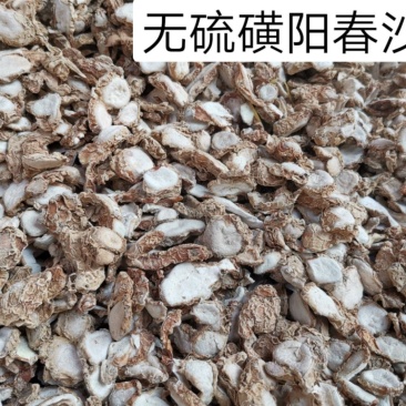沙姜片无硫磺阳春沙姜片