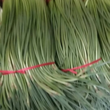 大蒜苔大量上市