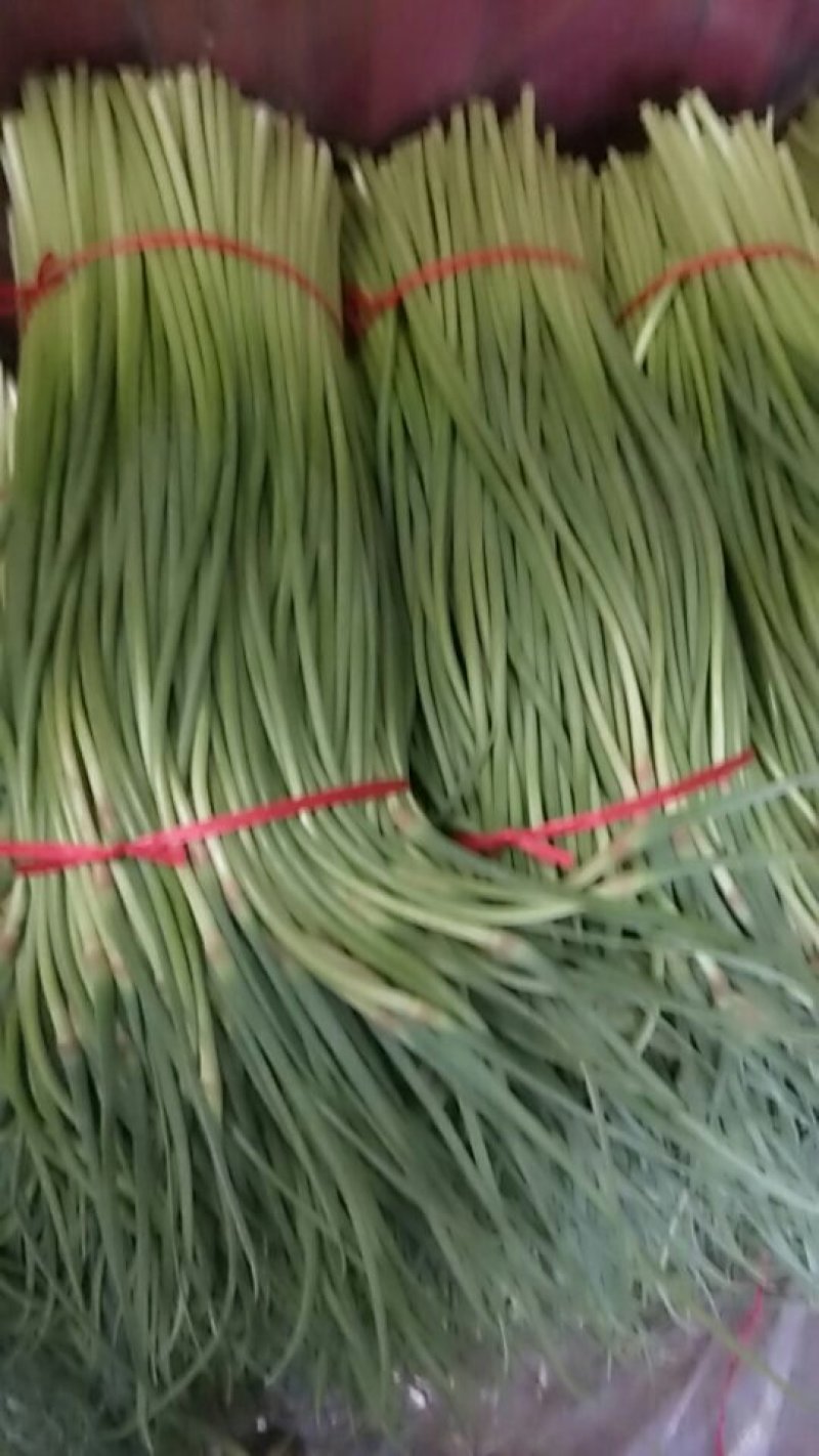 大蒜苔大量上市