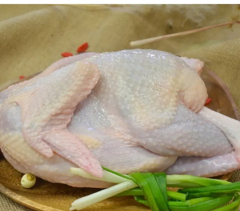 酵素鸡