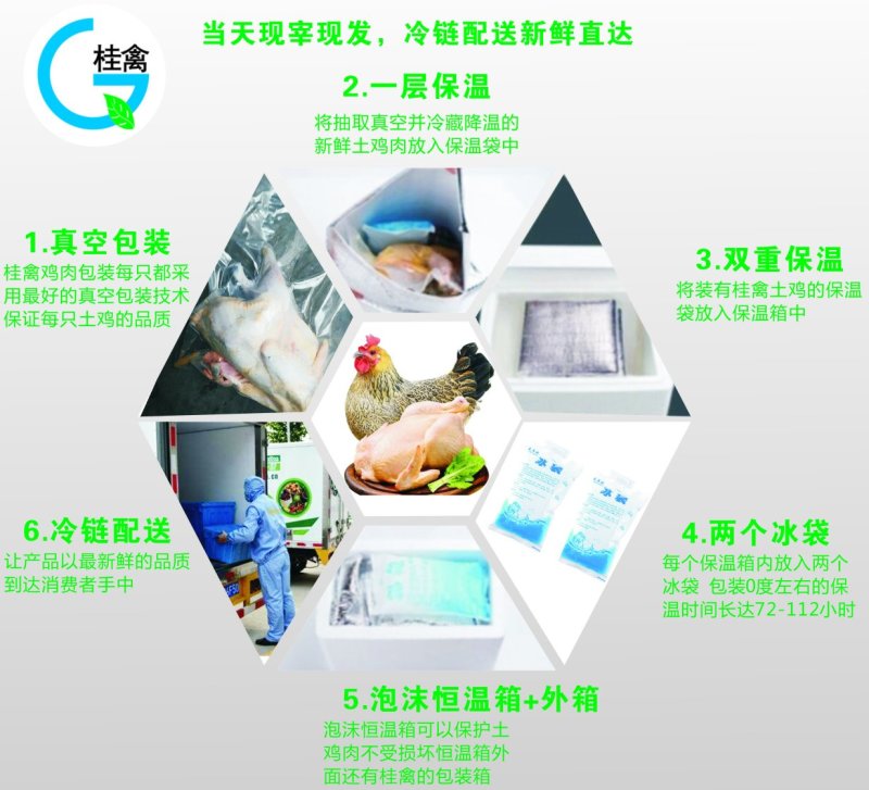 酵素鸡