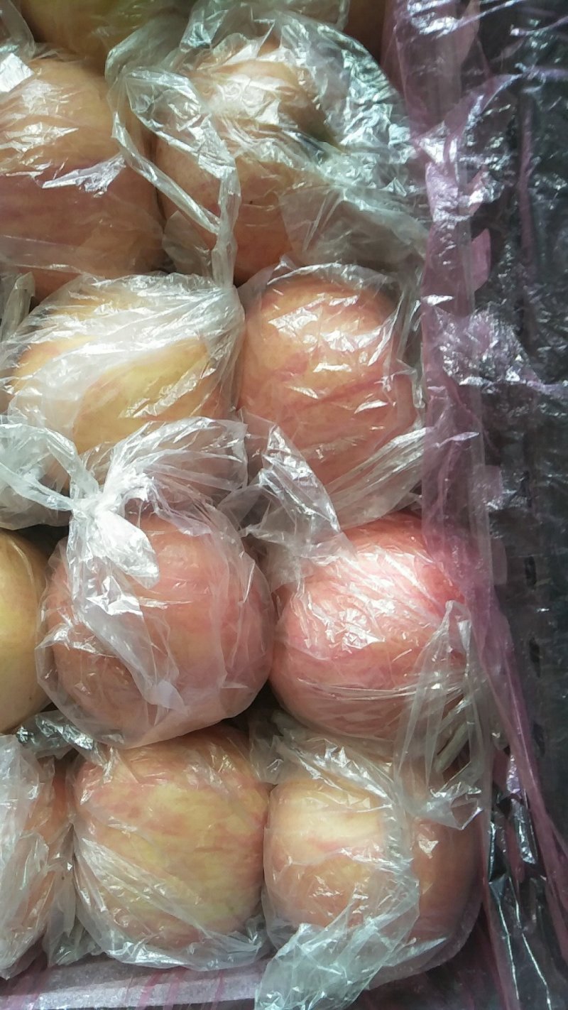 中条山高原红富士脆甜爽口！欢迎八方来客前来品鉴