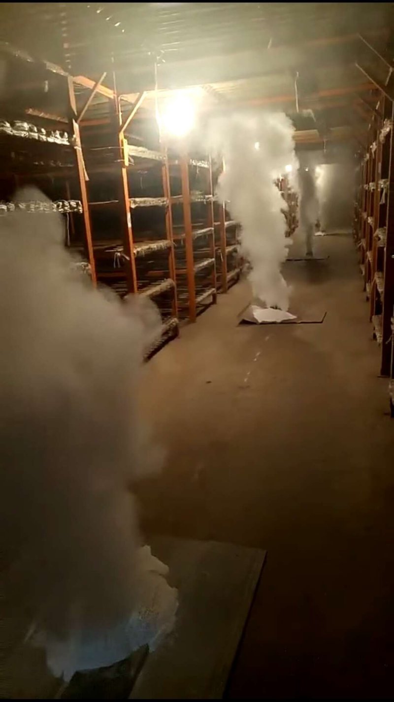 鲜蒜大量上市，代办储存和全国发货，提供各种包装，支持各种