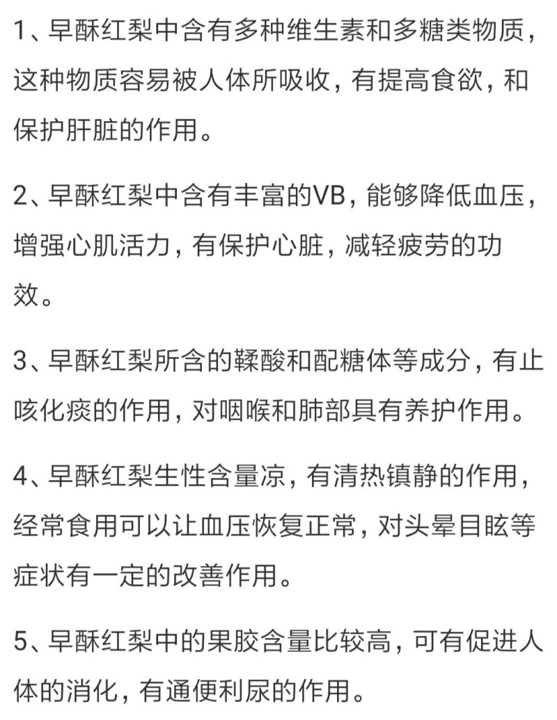 早酥红梨树苗保证纯度包邮（新疆西藏青海除外）