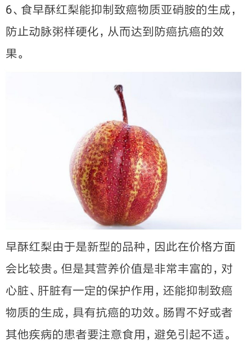 早酥红梨树苗保证纯度包邮（新疆西藏青海除外）