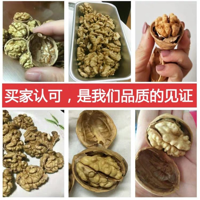 新疆2023年新核桃新货原味无漂白薄皮核桃原产地直供包邮