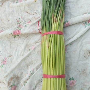 蒜苔