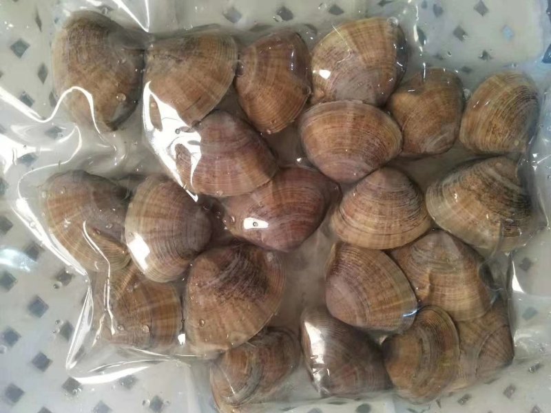 黄蚬子即食黄蚬子东港黄蚬子即食黄蚬子开袋无沙即食黄蚬子