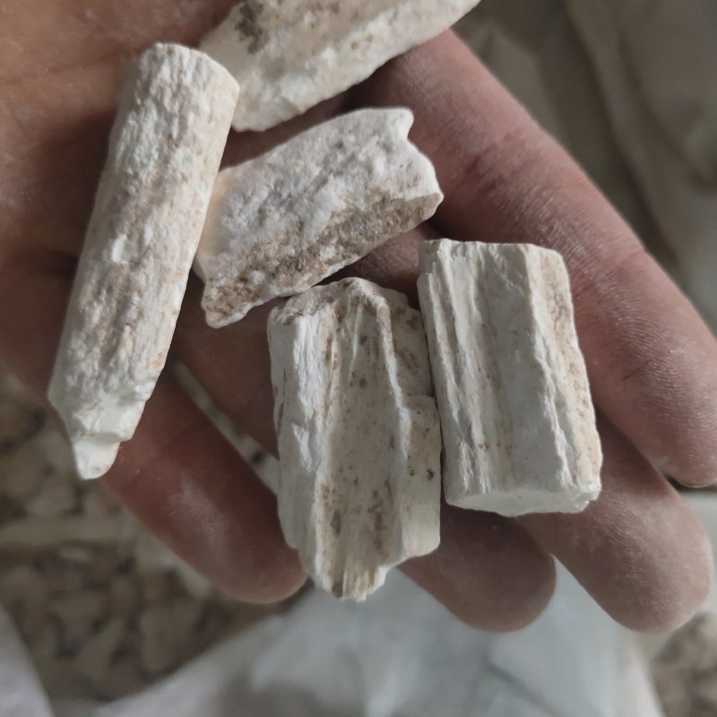 龙骨，水洗甘肃龙骨，吸舌，腿骨，关书药材