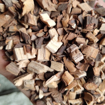 桂枝新货统量大从优大量现货