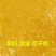 2022新谷子黄小米米月子米晋谷21号，杂粮