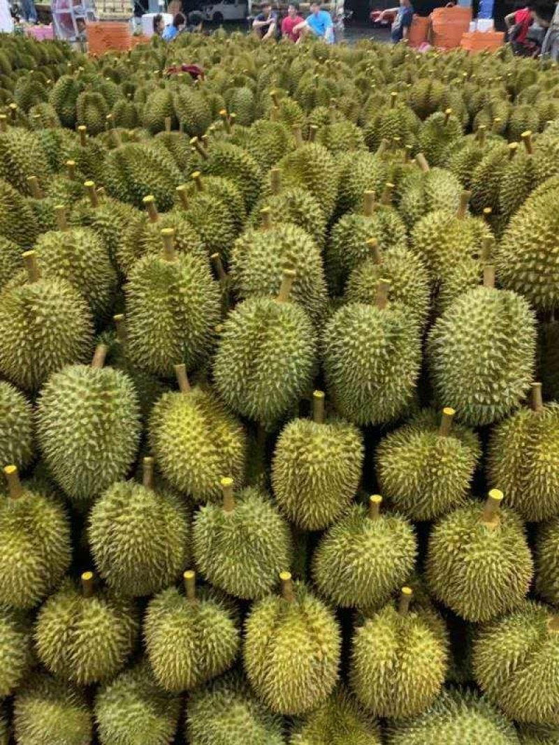 榴莲