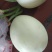 金红翠甜瓜红肉白玉品质好耐运输