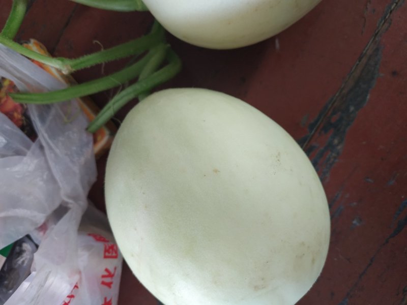 金红翠甜瓜红肉白玉品质好耐运输