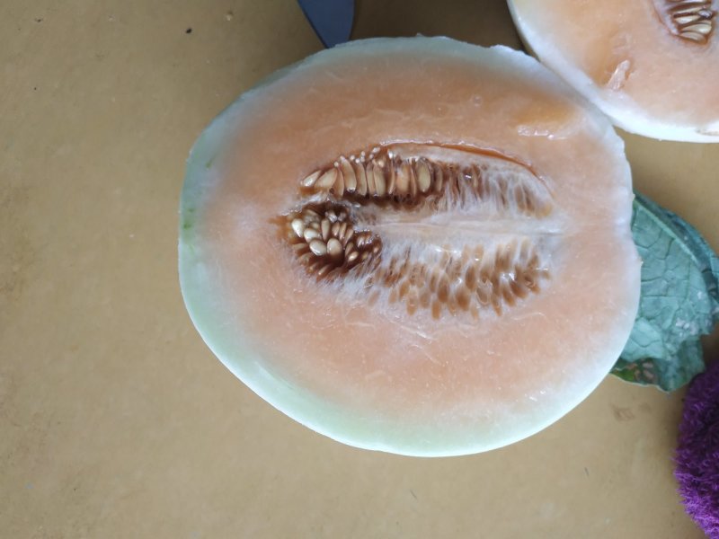 金红翠甜瓜红肉白玉品质好耐运输