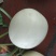 金红翠甜瓜红肉白玉品质好耐运输