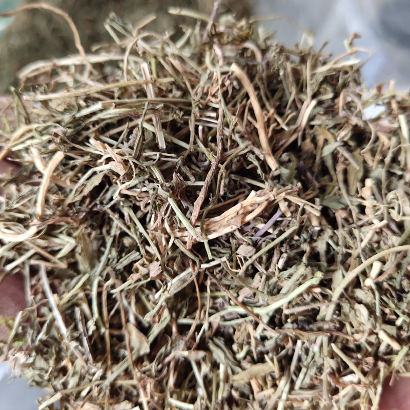 垂盆草新货切断无硫