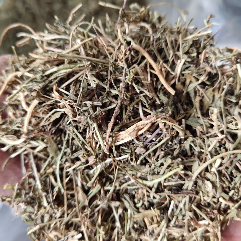 垂盆草新货切断无硫