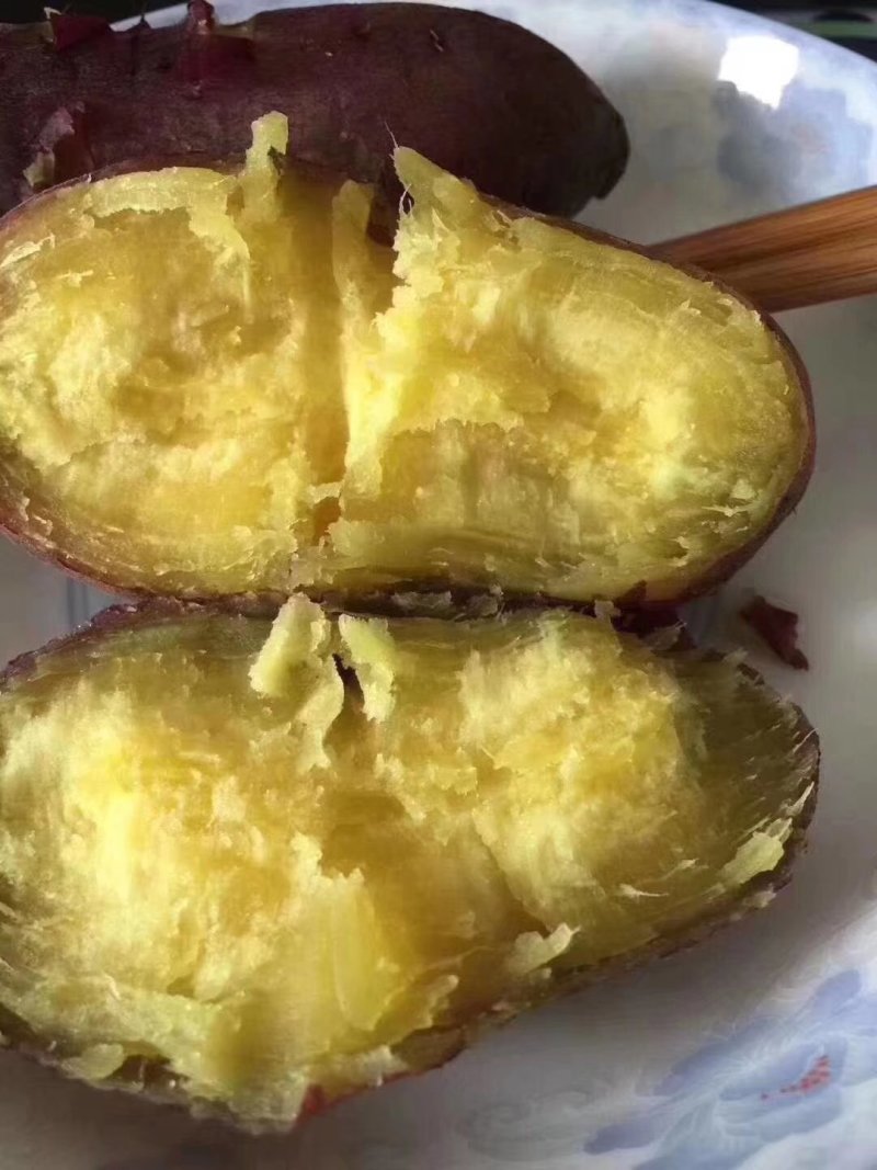 越南板栗红薯