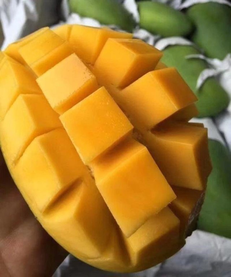 越南大青芒