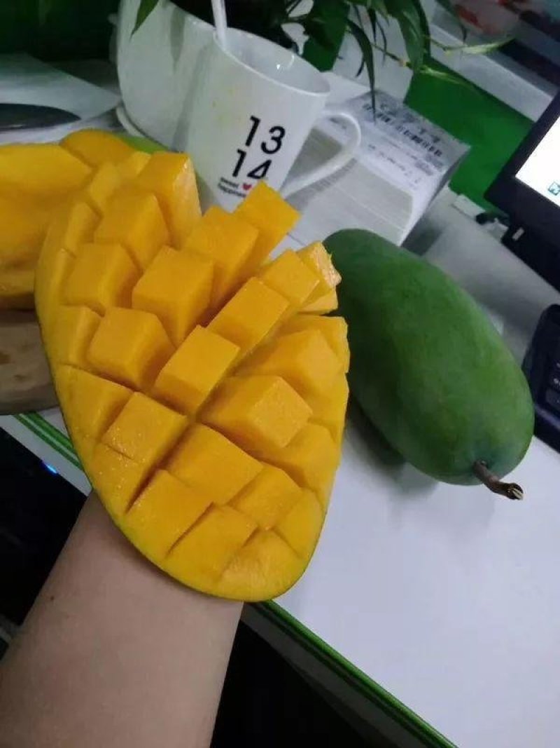 越南大青芒