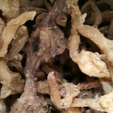 黄精