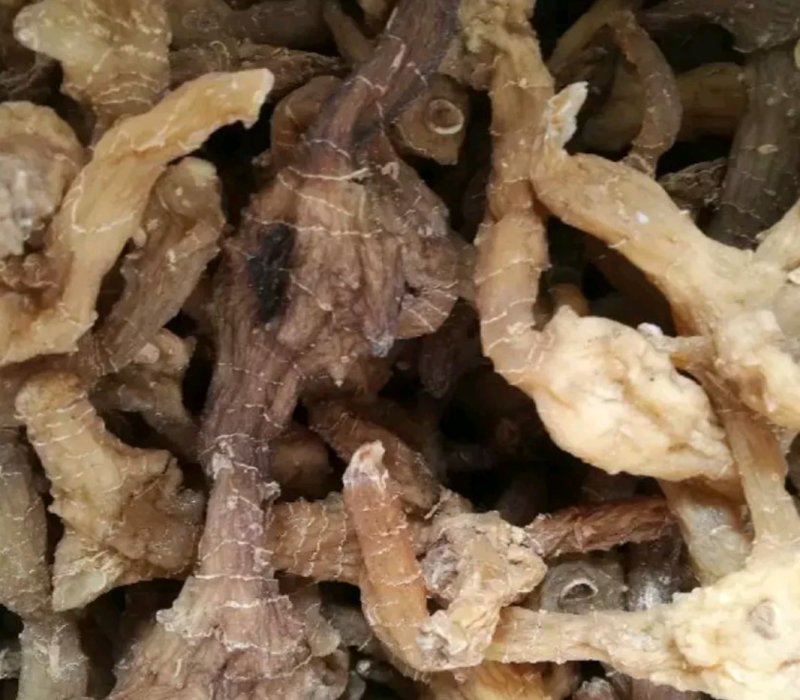 黄精