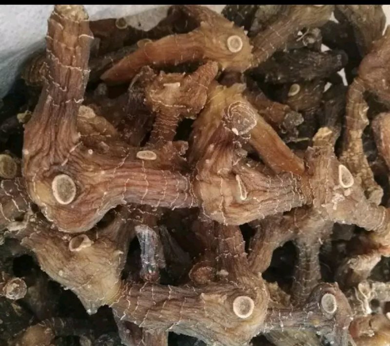 黄精