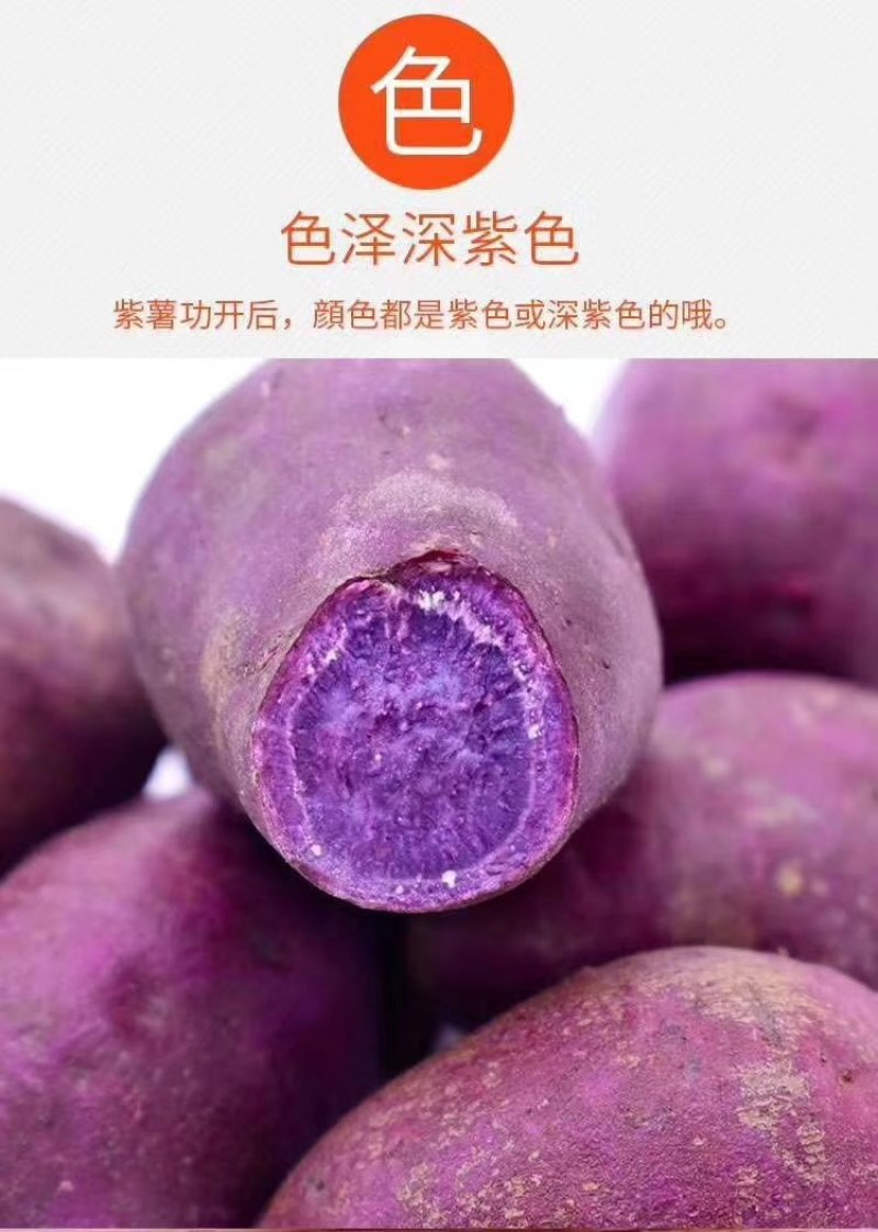 越南迷你小紫薯