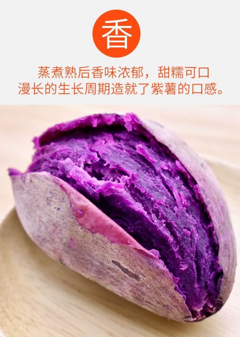 越南迷你小紫薯
