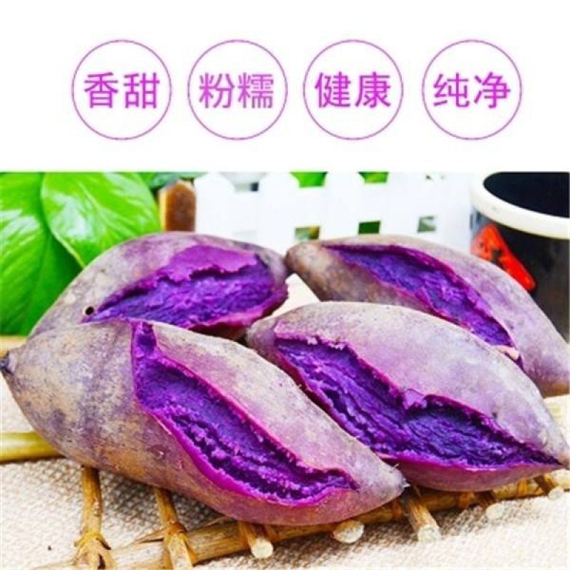 越南迷你小紫薯