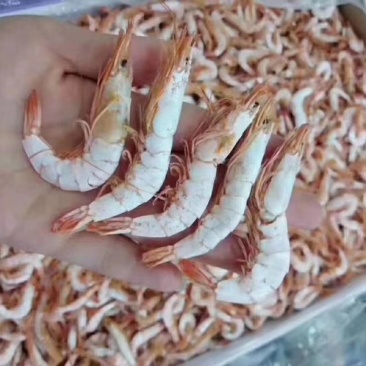 干虾