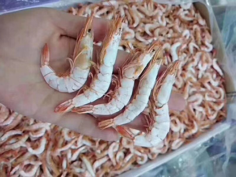 干虾