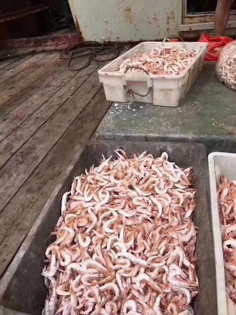 干虾