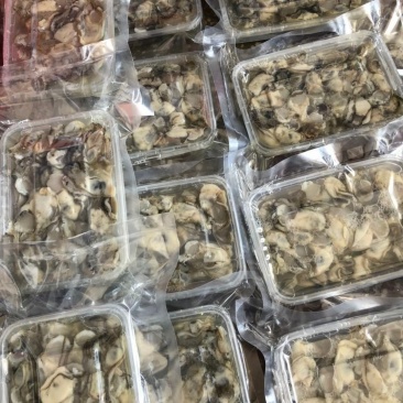 特价鲜活生蚝新鲜牡蛎肉真空盒装发货